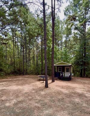 cabin in woodsa