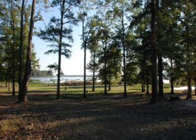 lonely property Christian Converse Bay | Toledo Bend Lake Country
