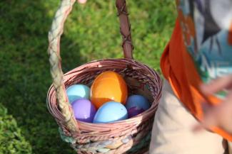 egg hunting 
