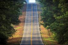 Toledo Bend Forest Scenic Byway